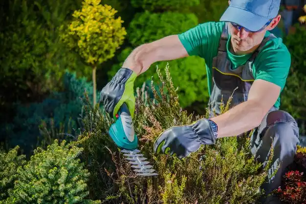 landscaping services Larose